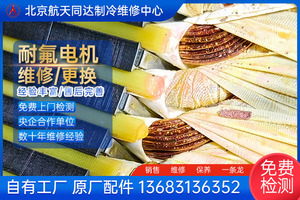 劳特斯全封闭螺杆压缩机耐氟电机维修